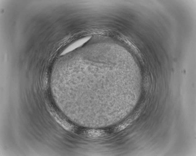 X0000087010261200705141839