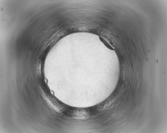 X0000087010262200705141839