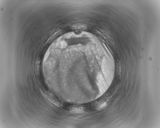 X0000087010263200705141839