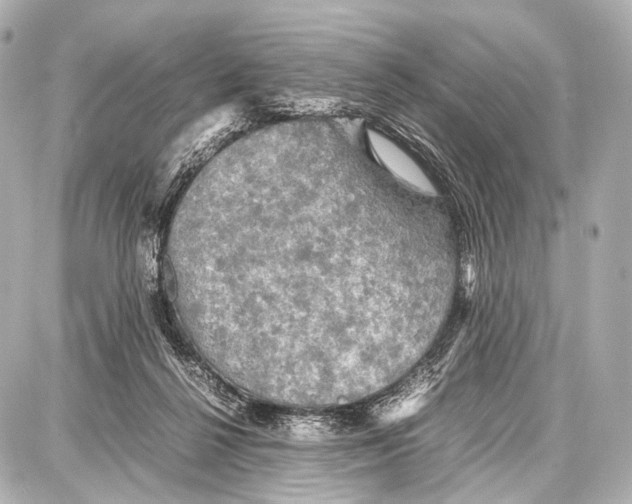 X0000087010264200705141839