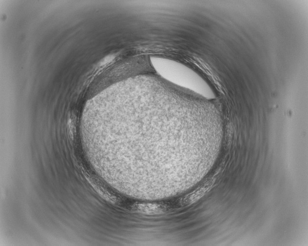 X0000087010265200705141839