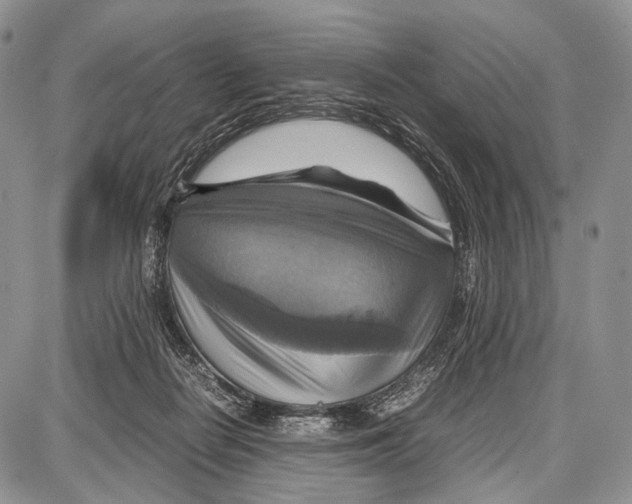 X0000087010266200705141839