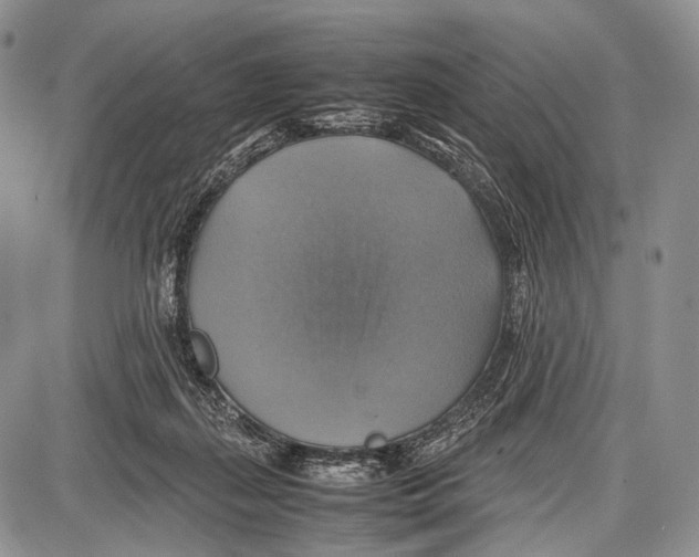 X0000087010267200705141839