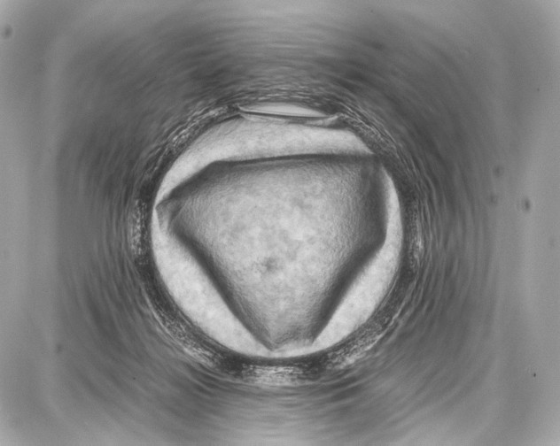 X0000087010268200705141839