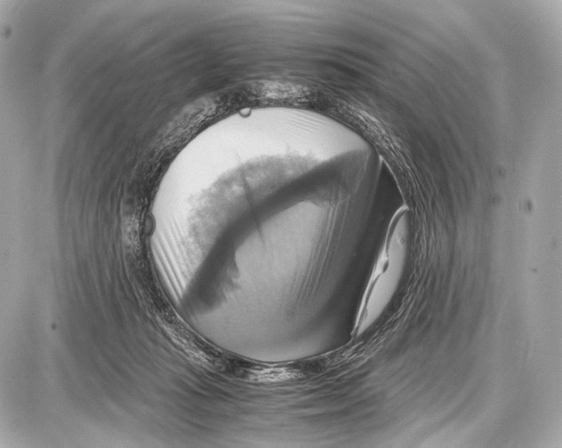 X0000087010269200705141839