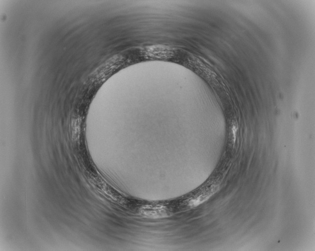 X0000087010271200705141839