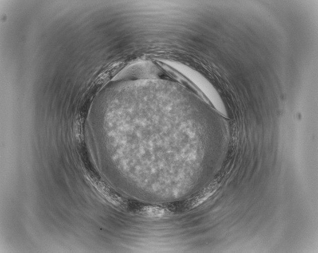 X0000087010272200705141839