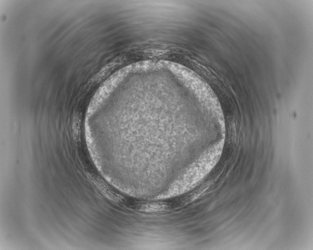 X0000087010274200705141839