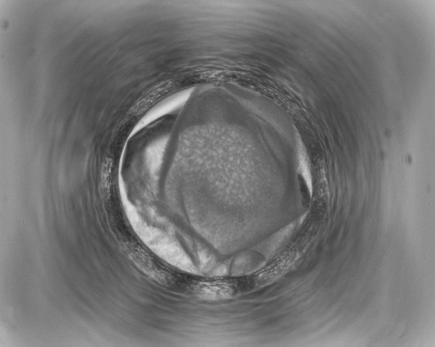 X0000087010275200705141839