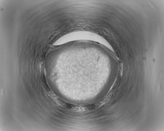 X0000087010276200705141839