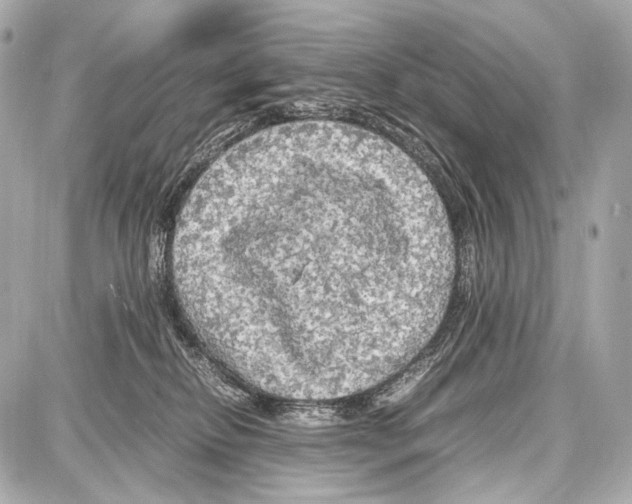 X0000087010278200705141839