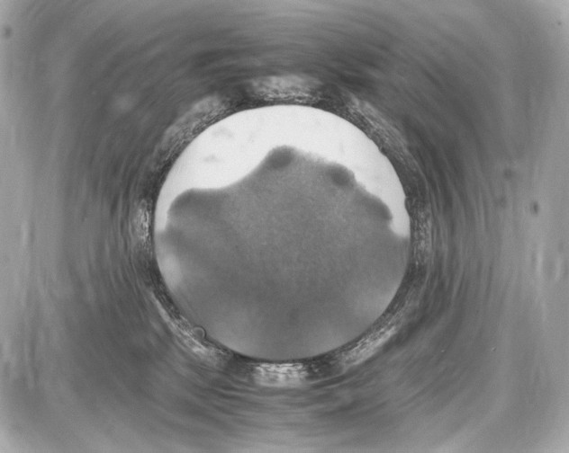 X0000087010281200705141839