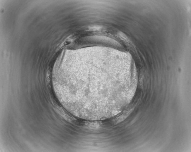 X0000087010282200705141839