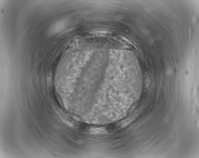 X0000087010283200705141839