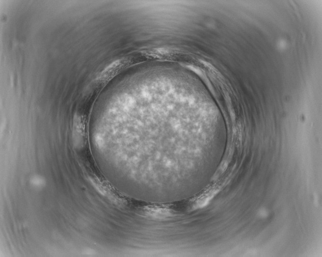 X0000087010284200705141839