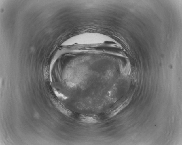 X0000087010285200705141839