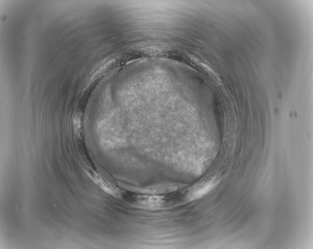 X0000087010288200705141839