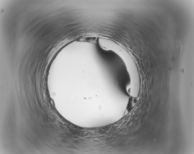 X0000087010289200705141838