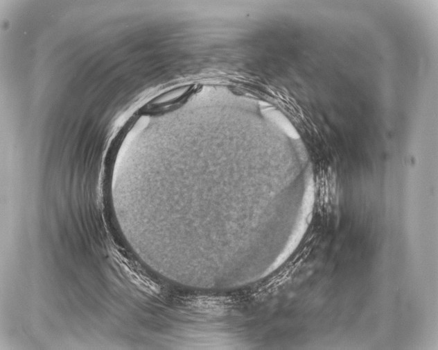 X0000087010292200705141838