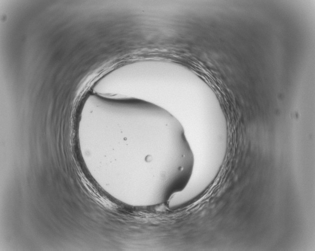 X0000087010293200705141838