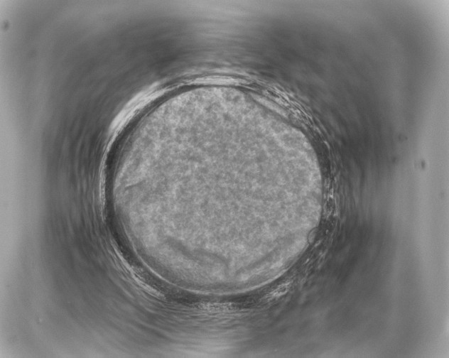 X0000087010296200705141838