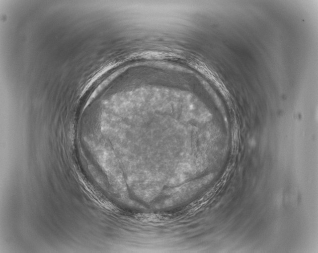 X0000087010297200705141838