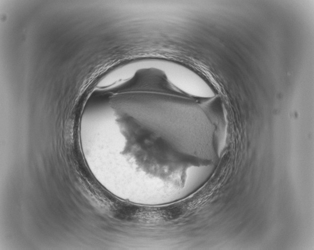 X0000087010299200705141838