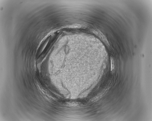 X0000087010300200705141838