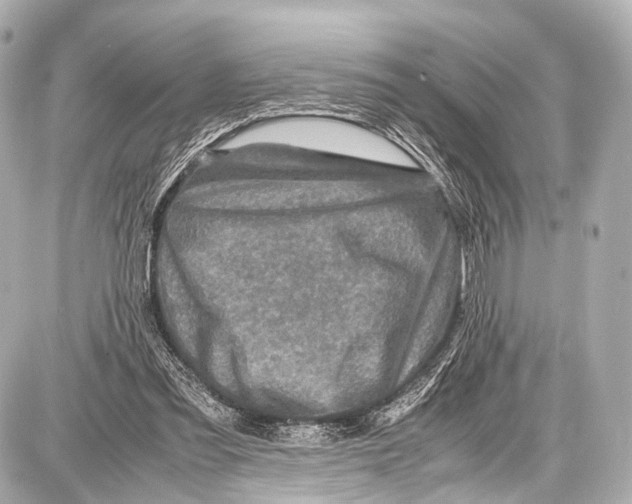 X0000087010301200705141838