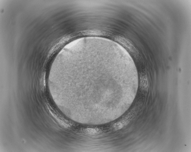 X0000087010302200705141838