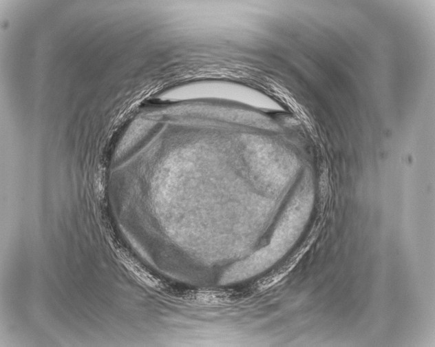 X0000087010305200705141838