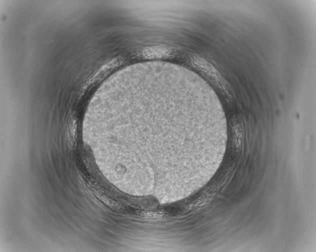 X0000087010308200705141838