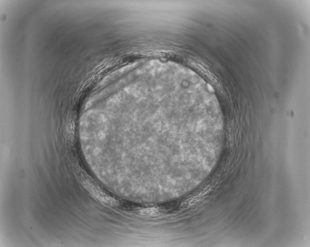 X0000087010309200705141838