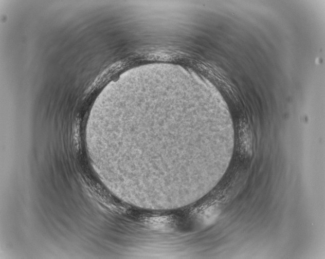 X0000087010312200705141838