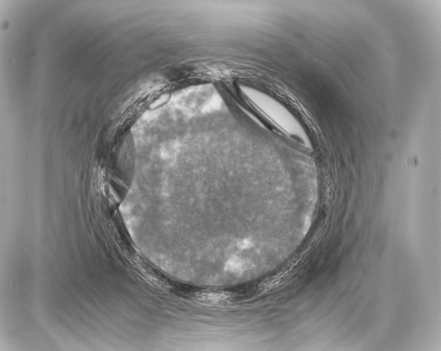 X0000087010313200705141838