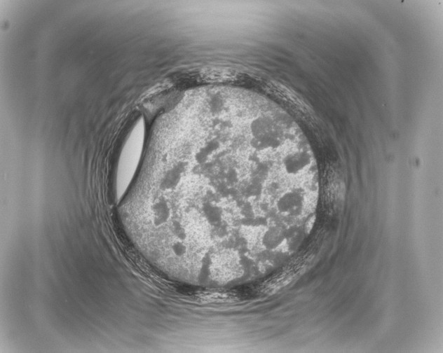 X0000087010315200705141838