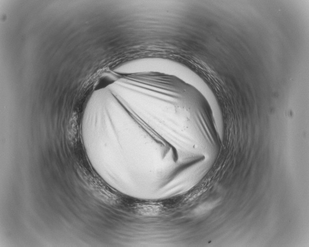 X0000087010318200705141838