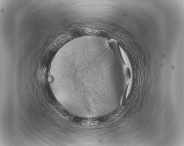 X0000087010319200705141838