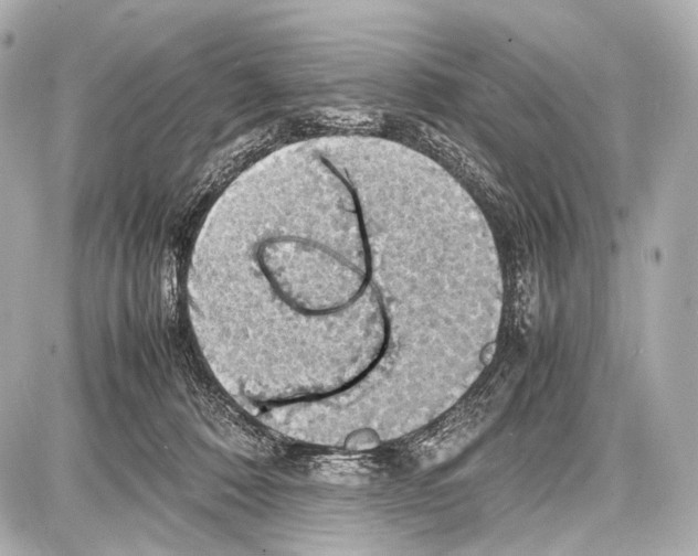 X0000087010320200705141838