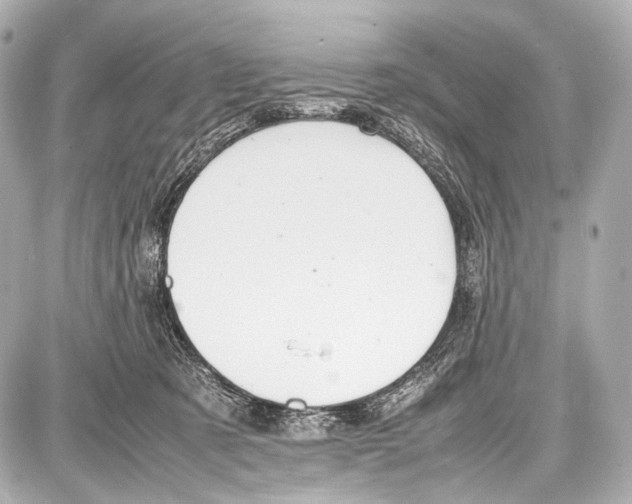 X0000087010321200705141838