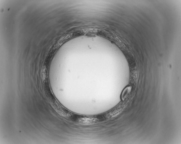 X0000087010323200705141838