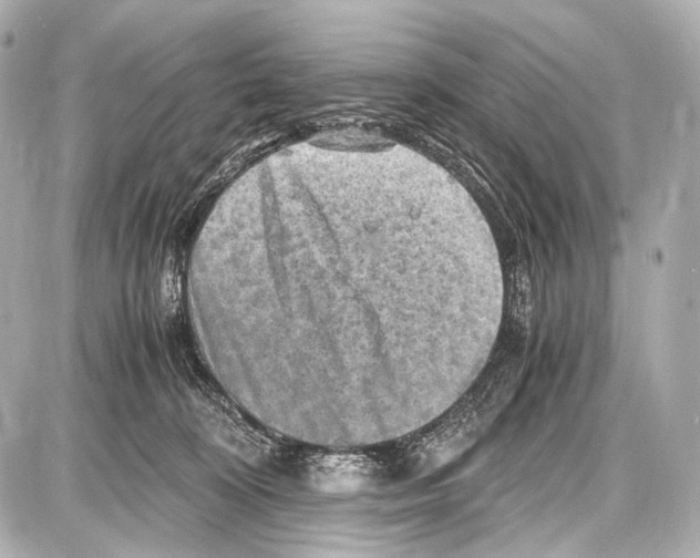 X0000087010324200705141838