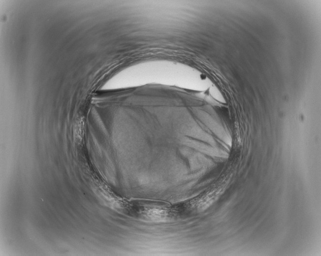 X0000087010325200705141838