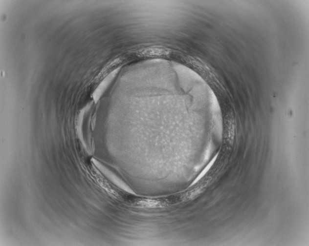 X0000087010326200705141838