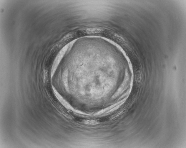 X0000087010327200705141838