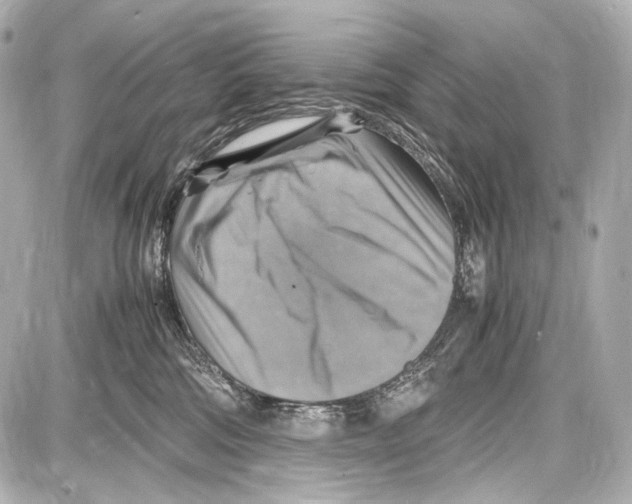 X0000087010330200705141838