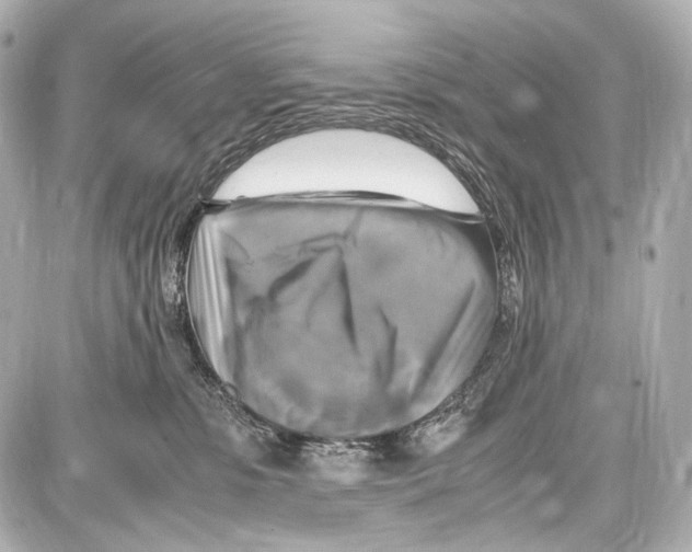 X0000087010331200705141837