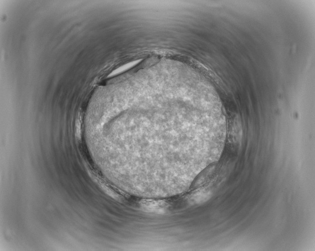 X0000087010334200705141837