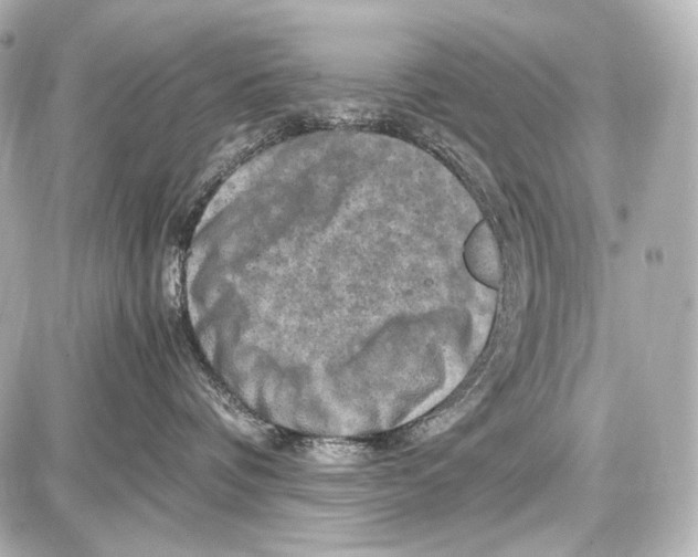 X0000087010336200705141837