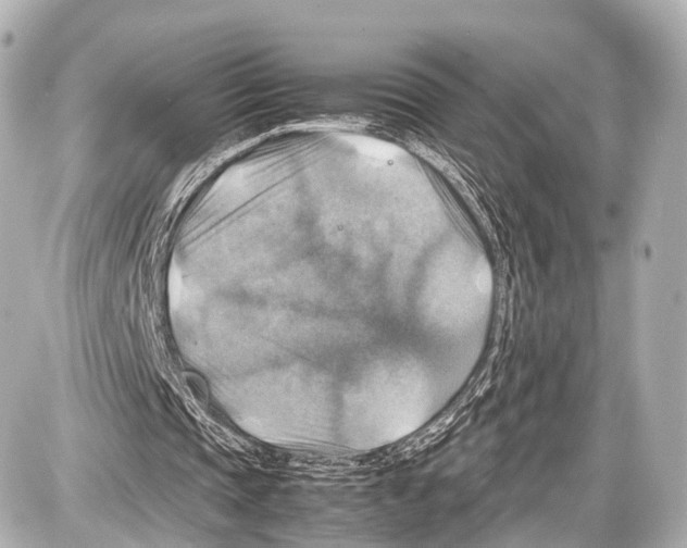 X0000087010337200705141837